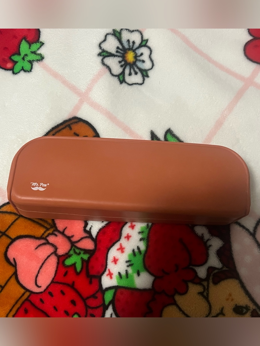Mr. Pen Silicone Pencil Case- Terracotta EUC